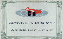 喜讯 爱游戏·ayx体育(china)官方网站入选合肥高新区“科技小巨人”培育企业