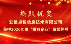 热烈：匕不瞻蜗贰yx体育(china)官方网站信息技术有限公司获得2020年度“瞪羚企业”荣誉称号